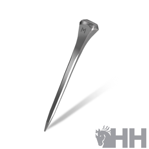 Cravo de metal prateado com a letra M gravada na cabeça