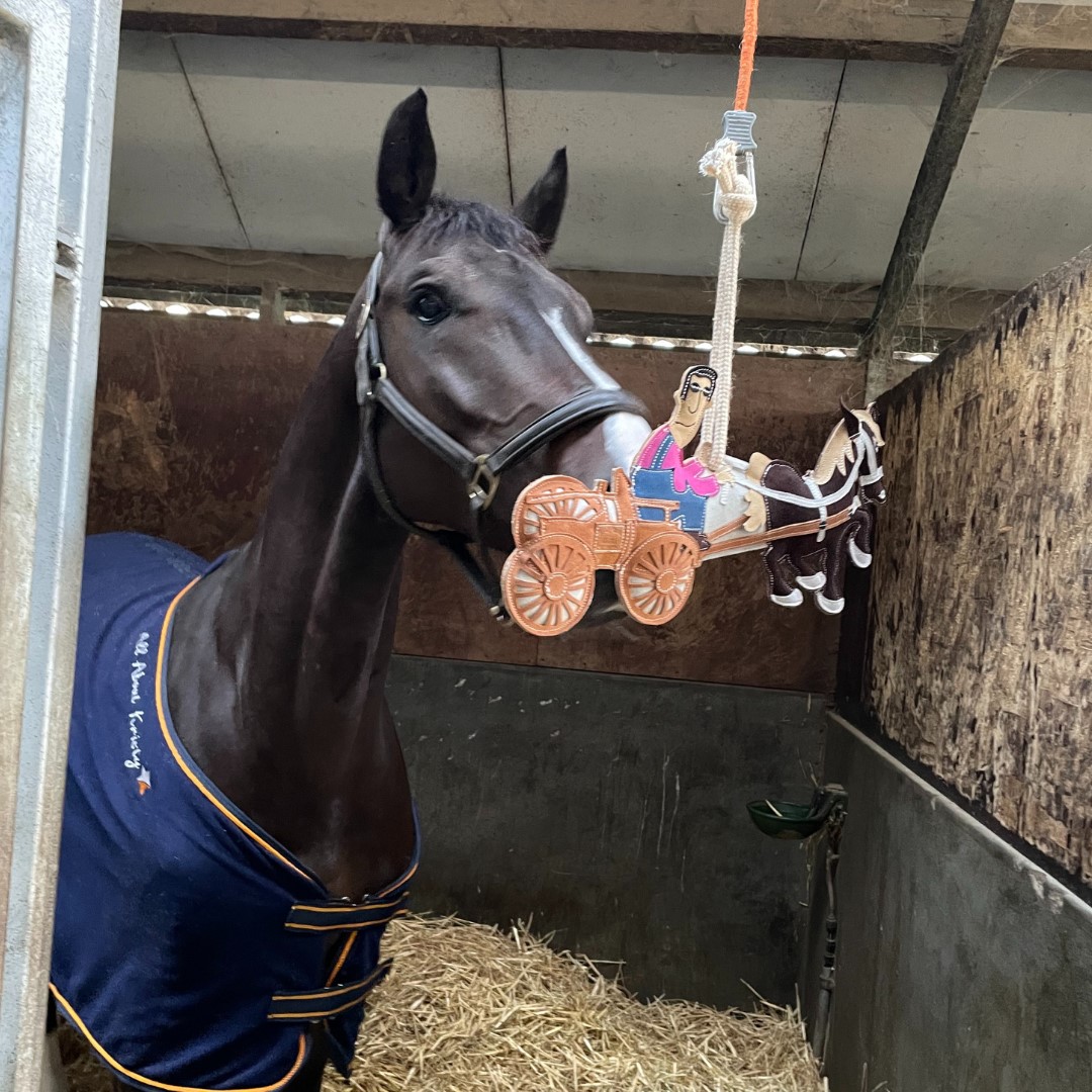 Cavalo preto com manta azul-escura dentro de um estábulo segurando uma figura decorativa de carruagem pendurada