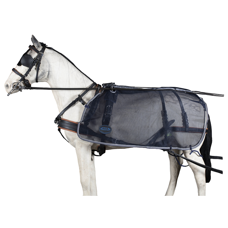 Cavalo com arreios e cobertor preto translúcido