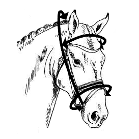 Desenho a preto e branco de cabeça de cavalo com rédea escura
