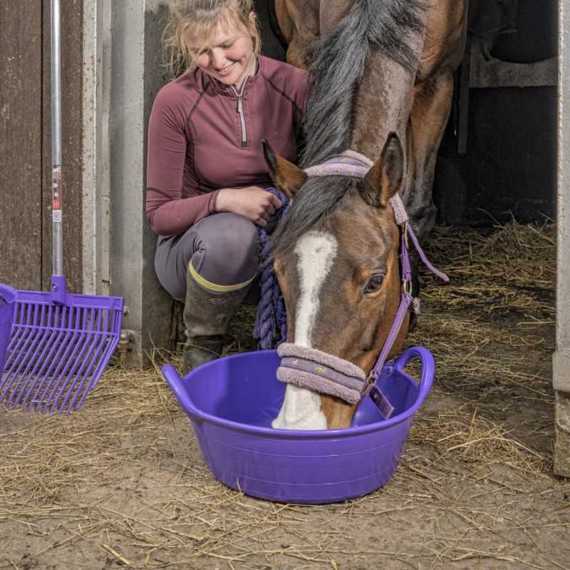 Mulher e cavalo num estábulo com recipiente de alimentação roxo