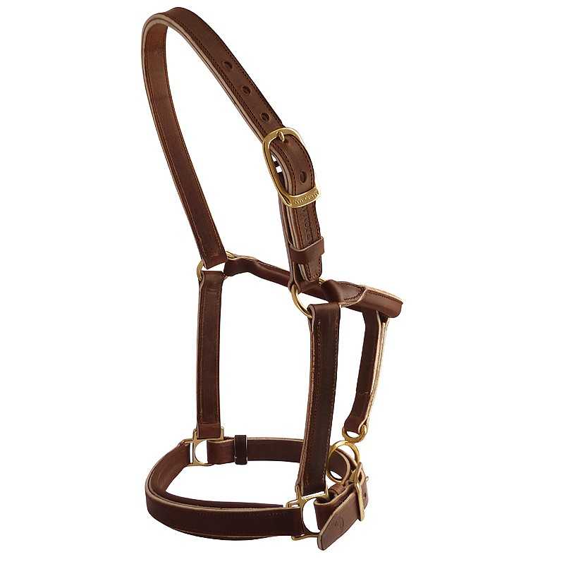 Cabresto de couro castanho com ferragens douradas