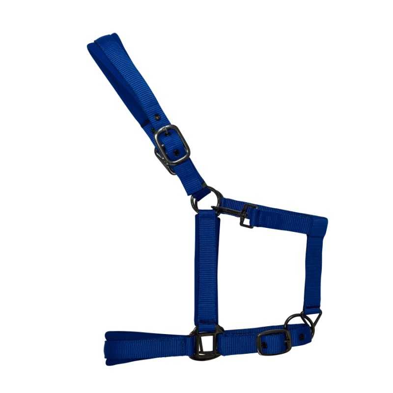 Cabresto para animal azul em nylon com fivelas pretas