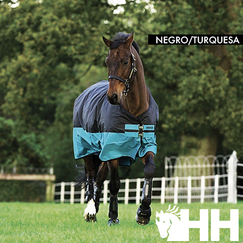 Cavalo com manta preto e turquesa em campo verde