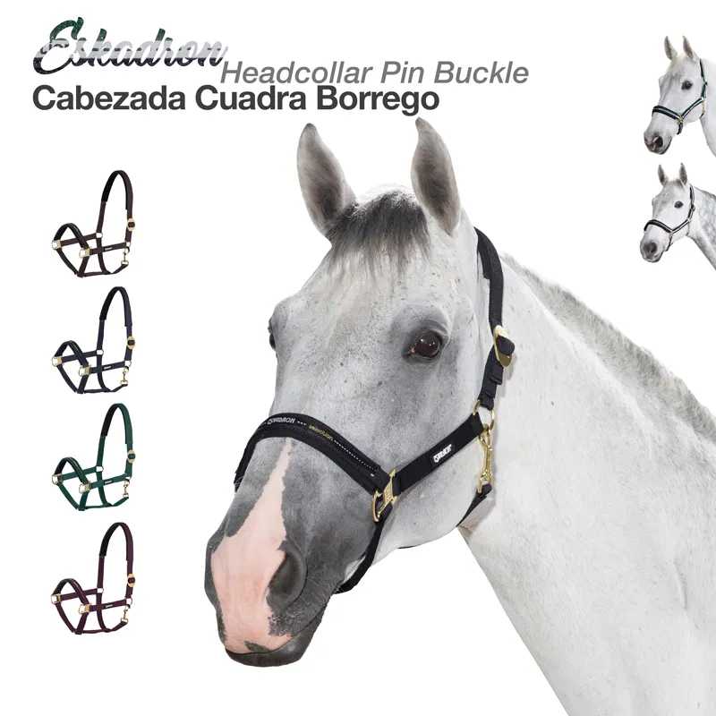 Cabeça de cavalo branca com cabeçada preta e várias cabeçadas coloridas em fundo branco