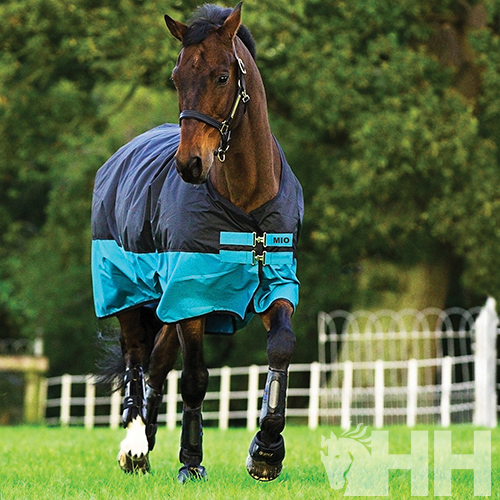 Cavalo com manta impermeável azul escura e azul turquesa no campo