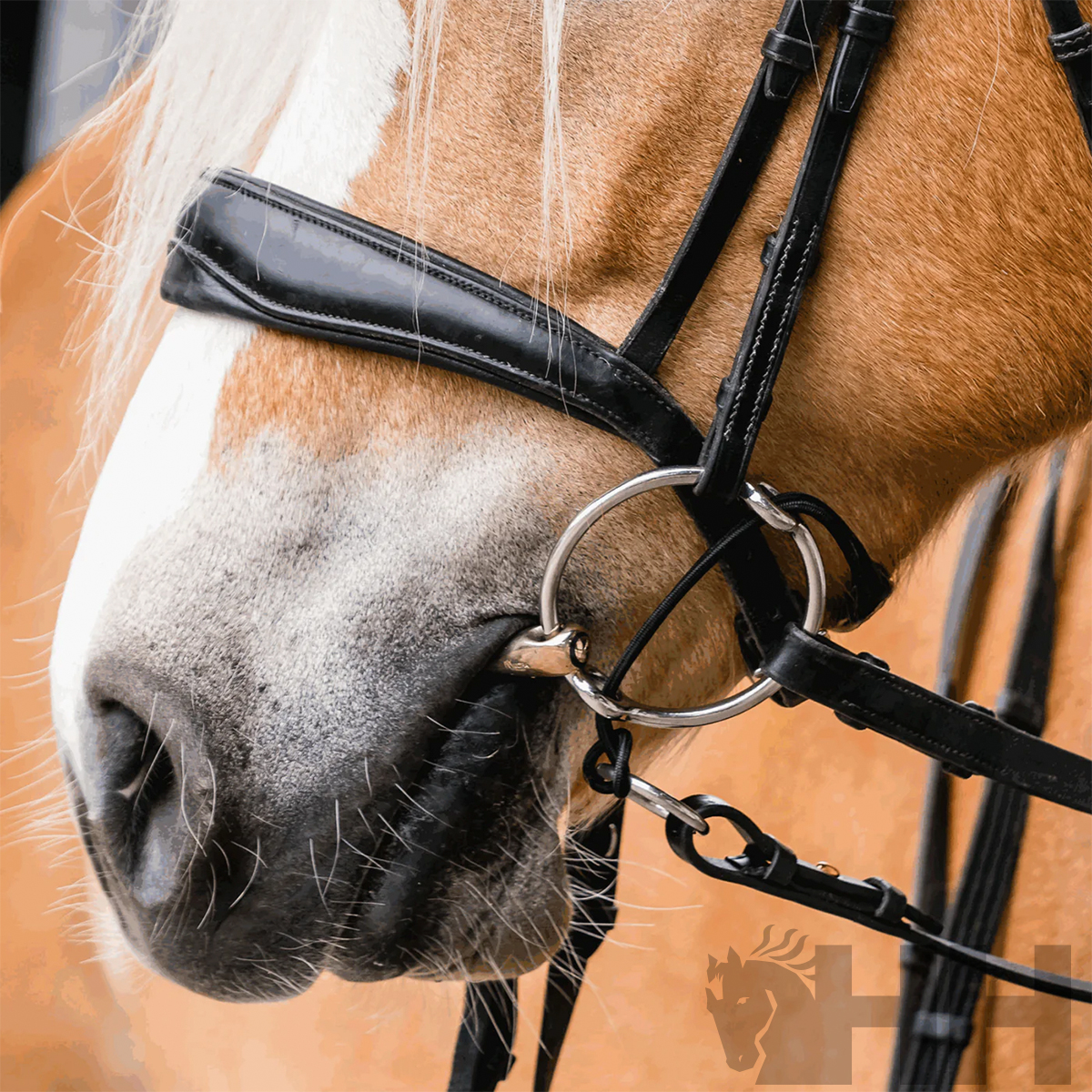 Cavalo bege com embocadura preta de couro e anéis de metal