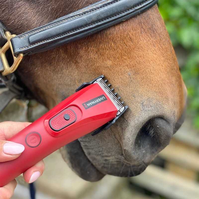 Aparelho de tosquiar vermelho próximo ao focinho de um cavalo castanho