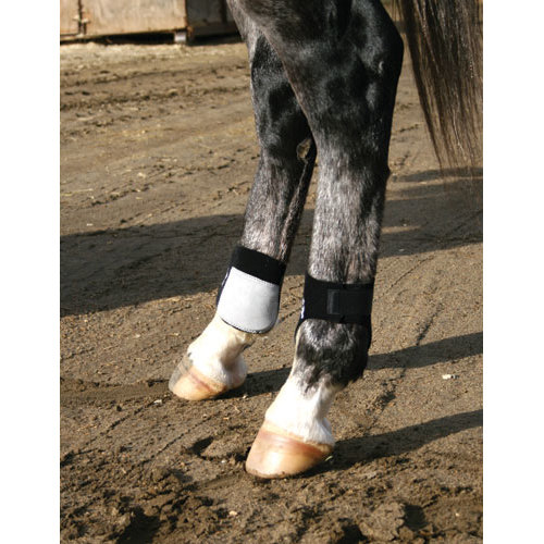 Pernas traseiras de cavalo com botas protetoras preta e branca.
