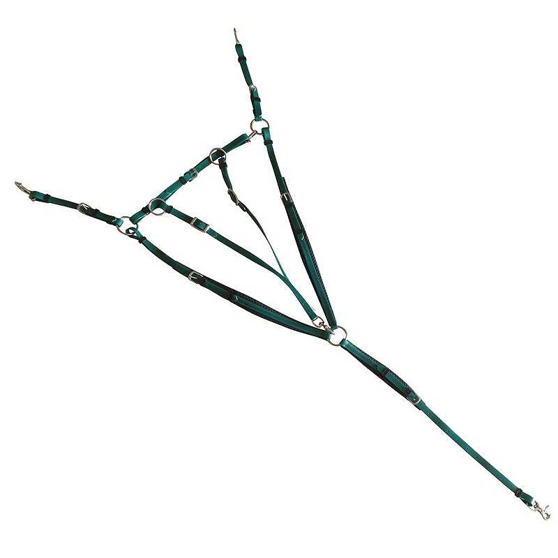 Arnês verde escuro com aros e fechos metálicos sobre fundo branco