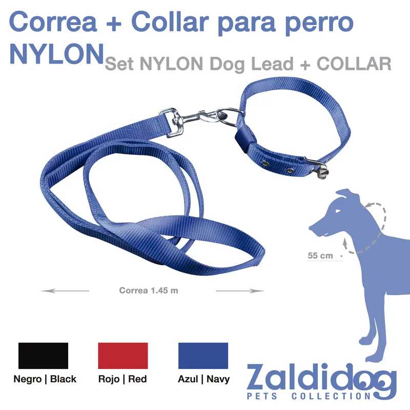 Conjunto de coleira e trela azul para cão em nylon com medidas e logo ZaldiDog