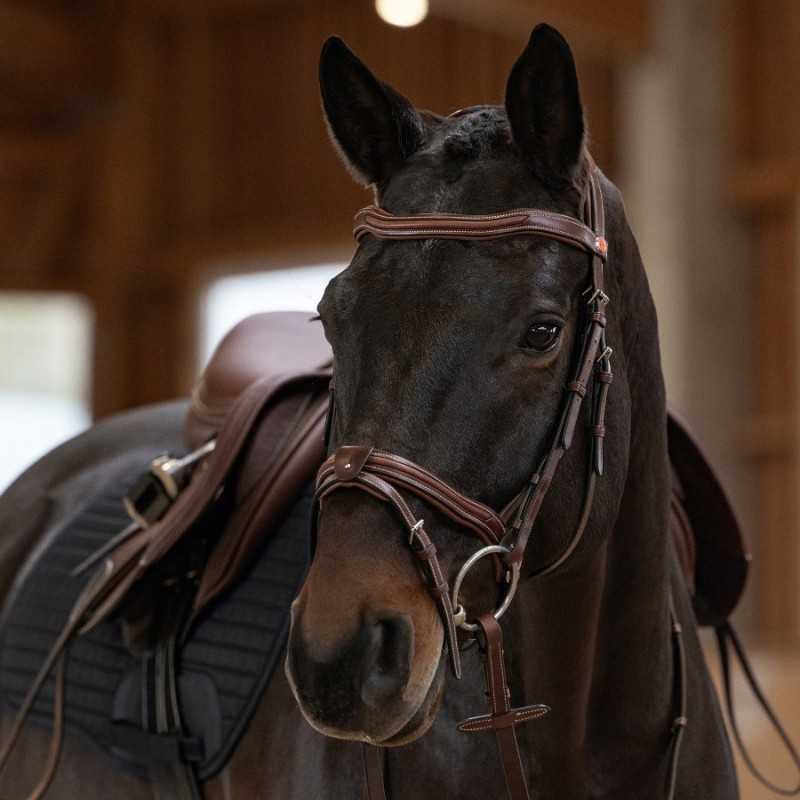 Cavalo castanho escuro com arreios e sela de couro castanho.