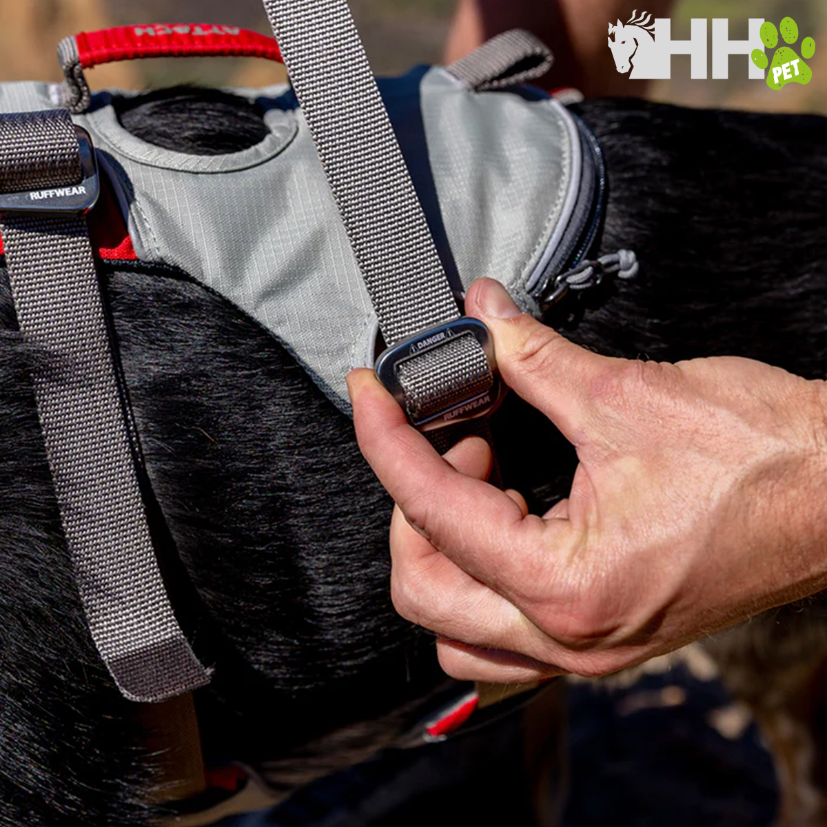 Arnês cinza com vermelho para cão com fivela ajustável e etiqueta AMIGO FELIZ