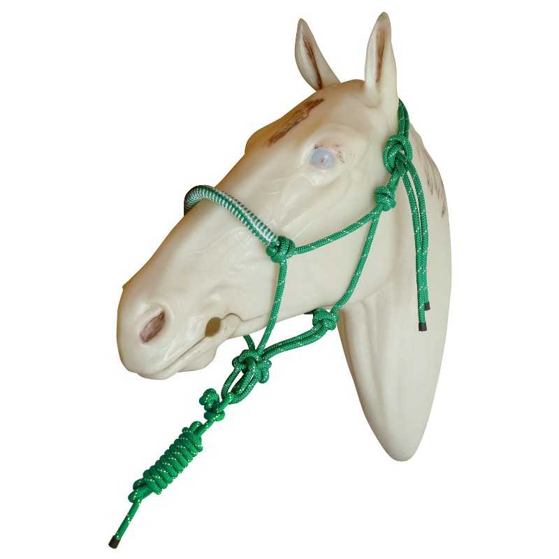 Cabeça de cavalo branca com cabresto verde de corda.