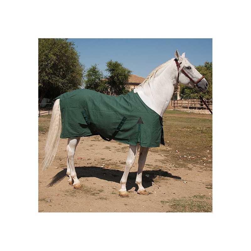 Cavalo branco com manta verde escura em ambiente rural