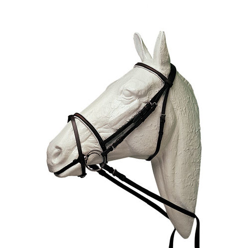 Cabeça de cavalo branco com cabresto preto de couro