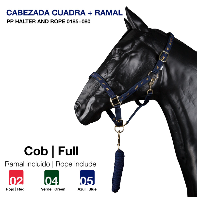 Cabeça de cavalo preta com cabeçada azul escura e corda azul