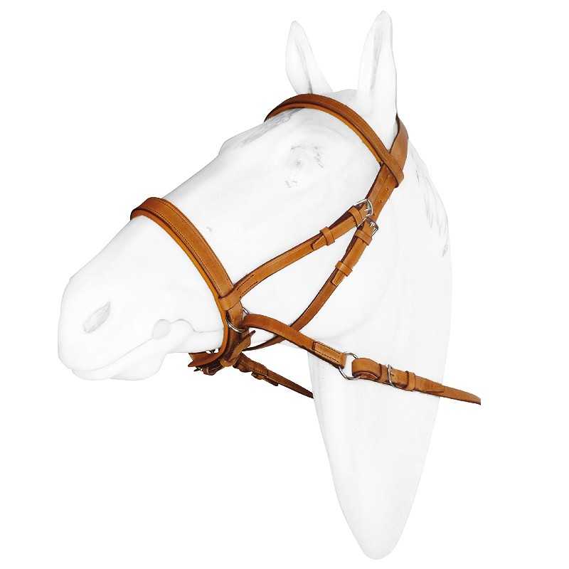 Cabresto em pele castanha claro numa cabeça de cavalo branco