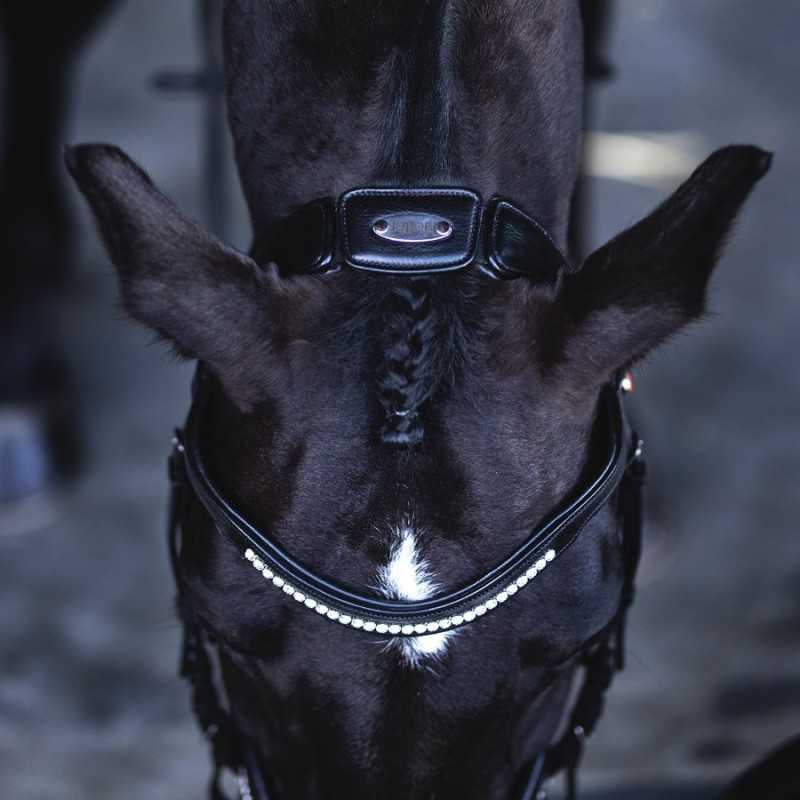 Bridão preto com pérolas num cavalo preto com crina trançada