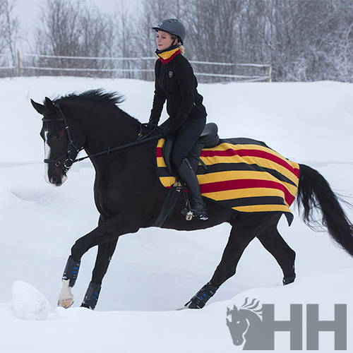 Cavalo preto com manta listrada amarela e vermelha e cavaleira com roupa preta e capacete num cenário nevado