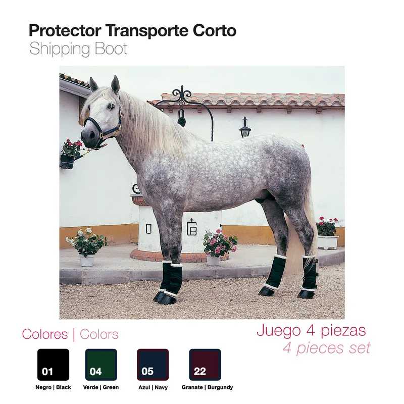 Cavalo com botas de transporte curtas pretas em ambiente exterior com vasos de flores