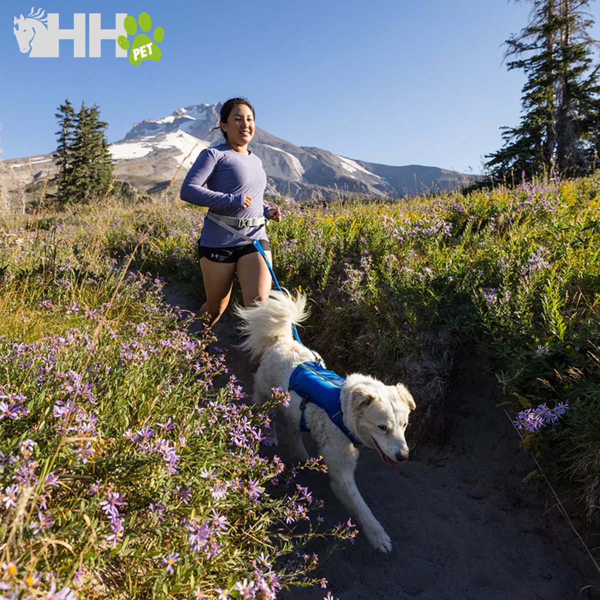 Pessoa a correr com cão branco usando colete azul em trilha com flores e montanhas ao fundo
