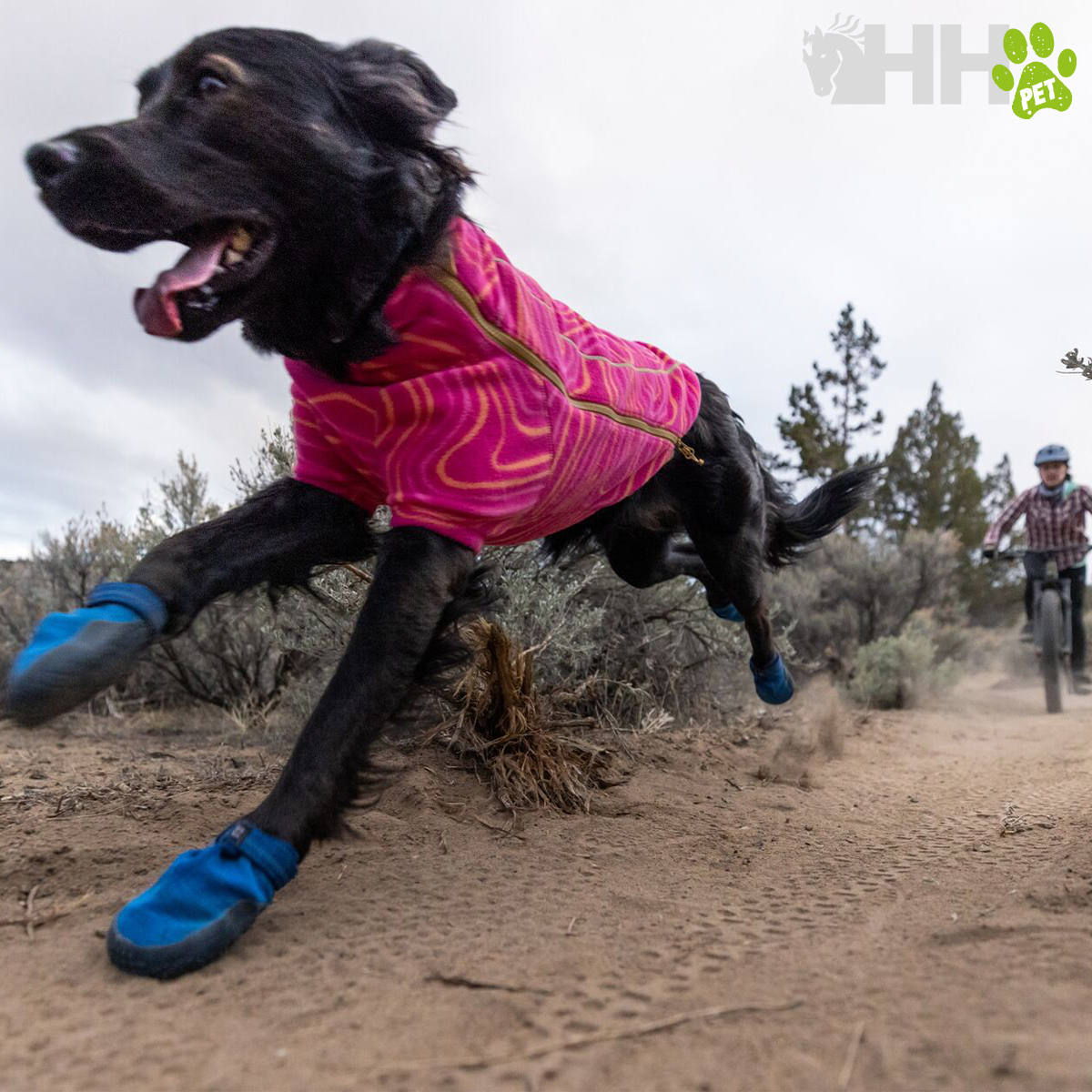 Cão com casaco rosa e botins azuis a correr num trilho com vegetação e ciclista ao fundo