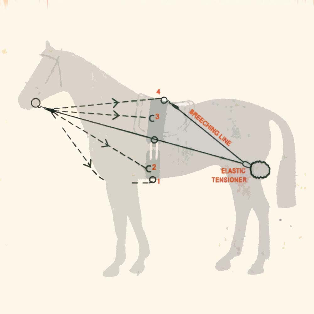 Diagrama de cavalo com arnês destacando linhas e tensores elásticos.