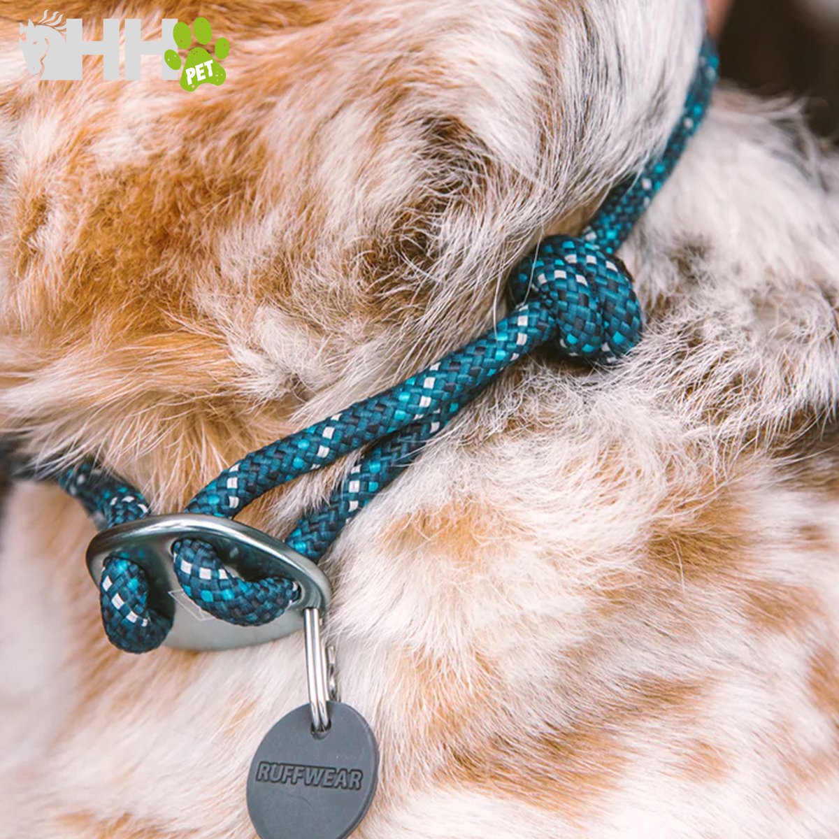 Colar azul com placa preta RUFFWEAR no pescoço de cão