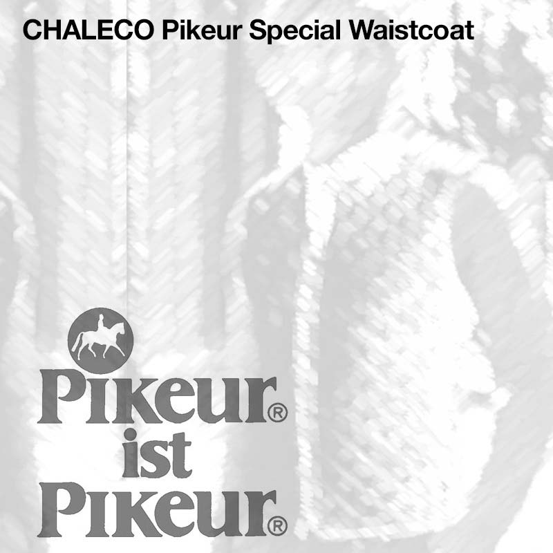 Texto e logótipo Pikeur em fundo cinzento claro