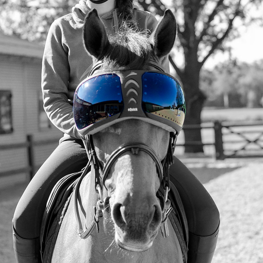 Óculos espelhados azuis para cavalo em ambiente exterior