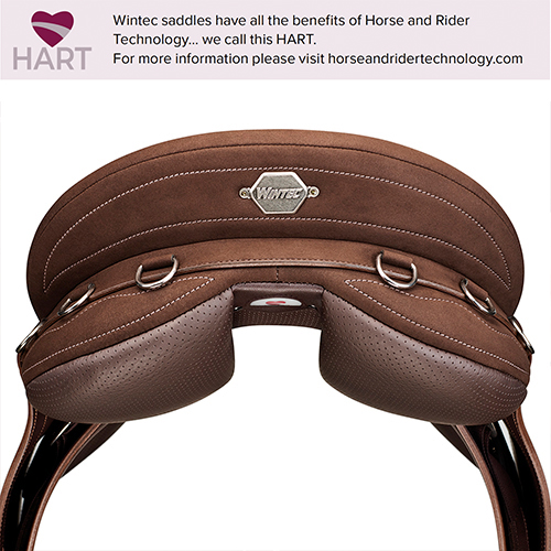 Selim Wintec de cavalo castanho com argolas metálicas e placa 'WINTEC'