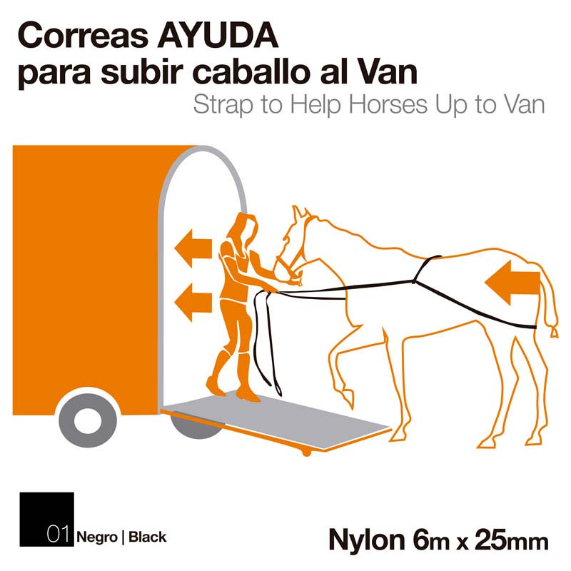 Ilustração de uma pessoa ajudando um cavalo a entrar numa van com uma corre preta de nylon.