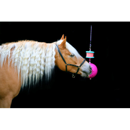 Cavalo castanho com crina clara com brinquedo suspenso cor-de-rosa