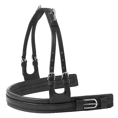 Cabeçada de cavalo em couro preto com fivelas metálicas prateadas