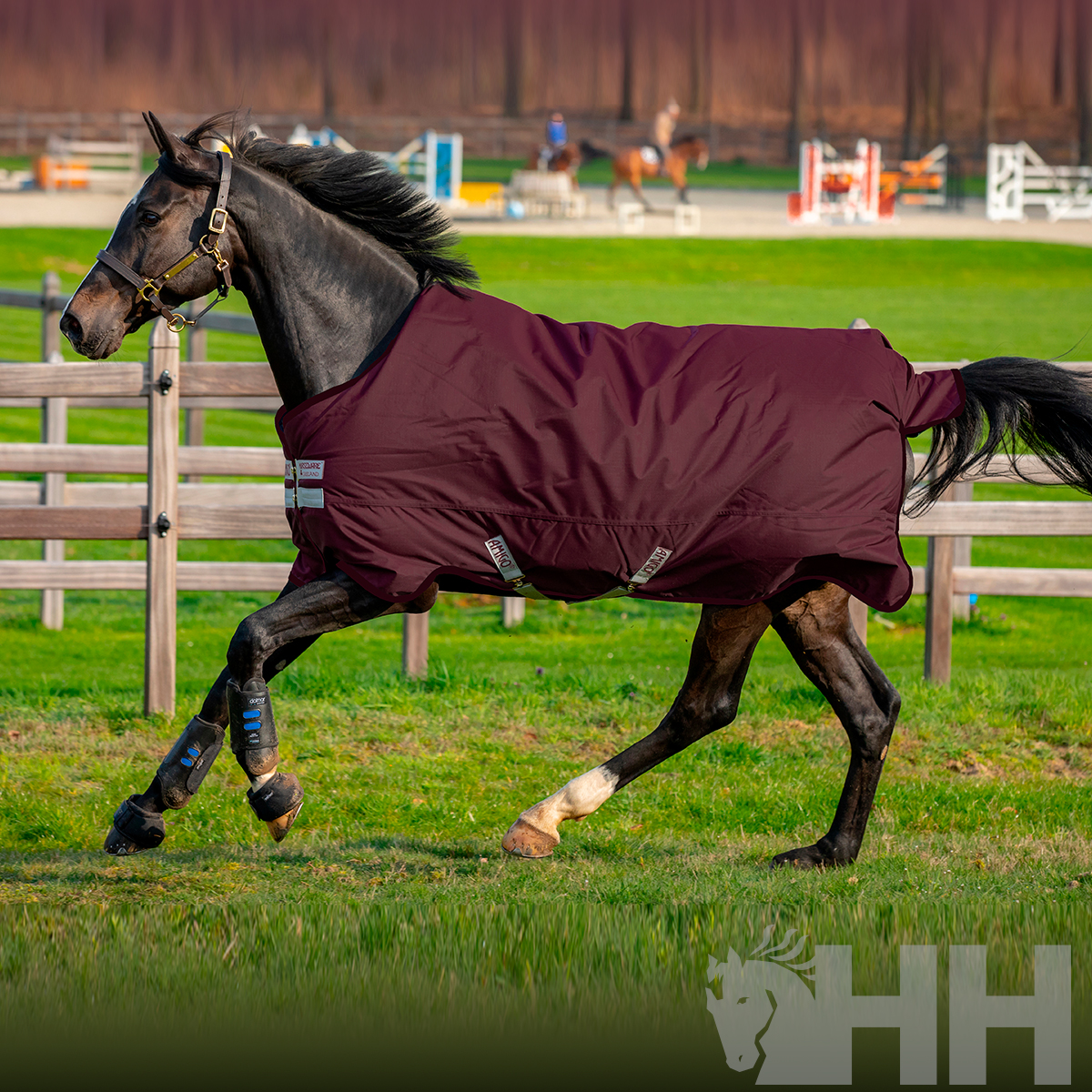 Cavalo castanho escuro com manto vinho a correr num campo de relva com cerca e pista de equitação ao fundo