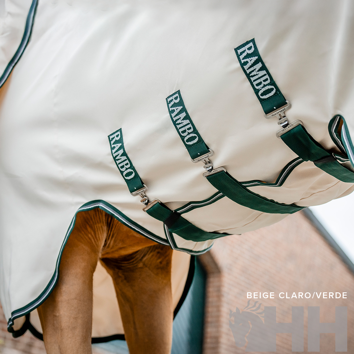Cobertura para cavalo bege claro com detalhes verdes e fivelas com palavra RAMBO