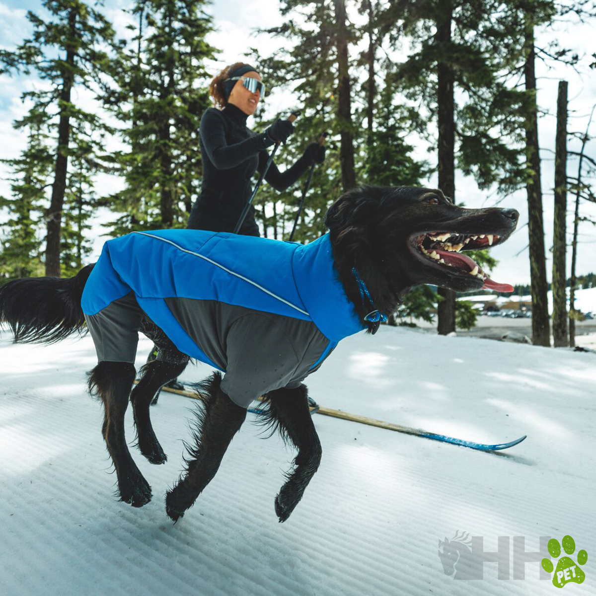 Casaco para cão azul e cinzento em neve com pessoa ao fundo