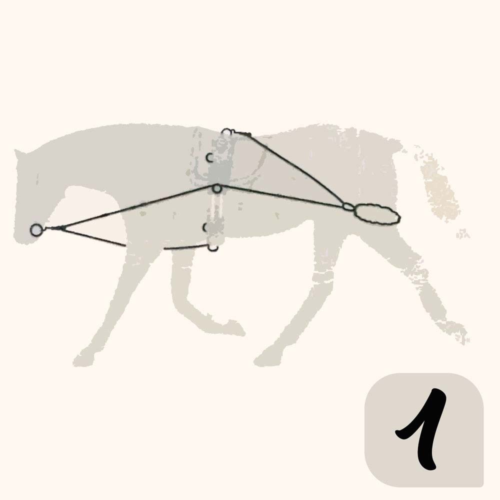 Desenho de cavalo cinzento com arnês preto e número 1 no canto inferior direito