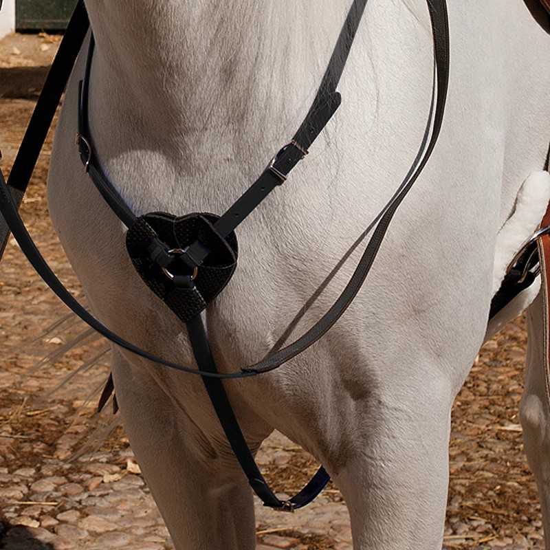 Arreio de couro preto com fivela metálica em cavalo branco
