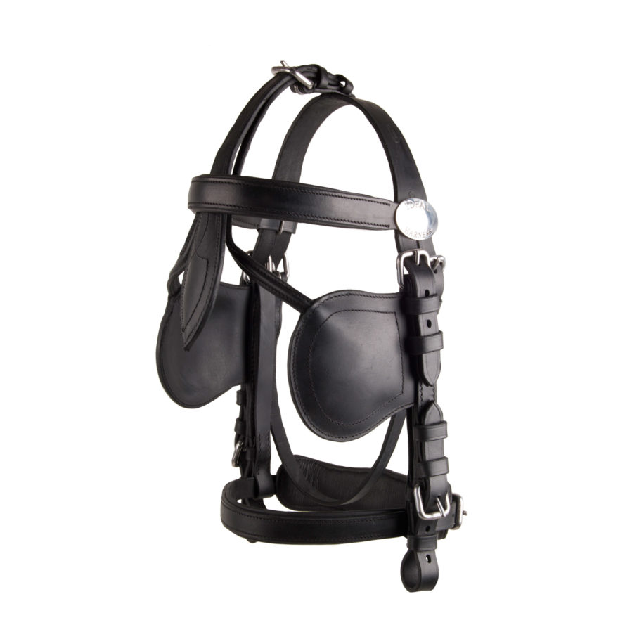 Focinheira preta de couro para cavalo com tiras ajustáveis