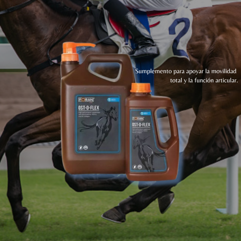 Frascos de suplemento FORAN OST-O-FLEX para cavalos com cavalo a correr ao fundo