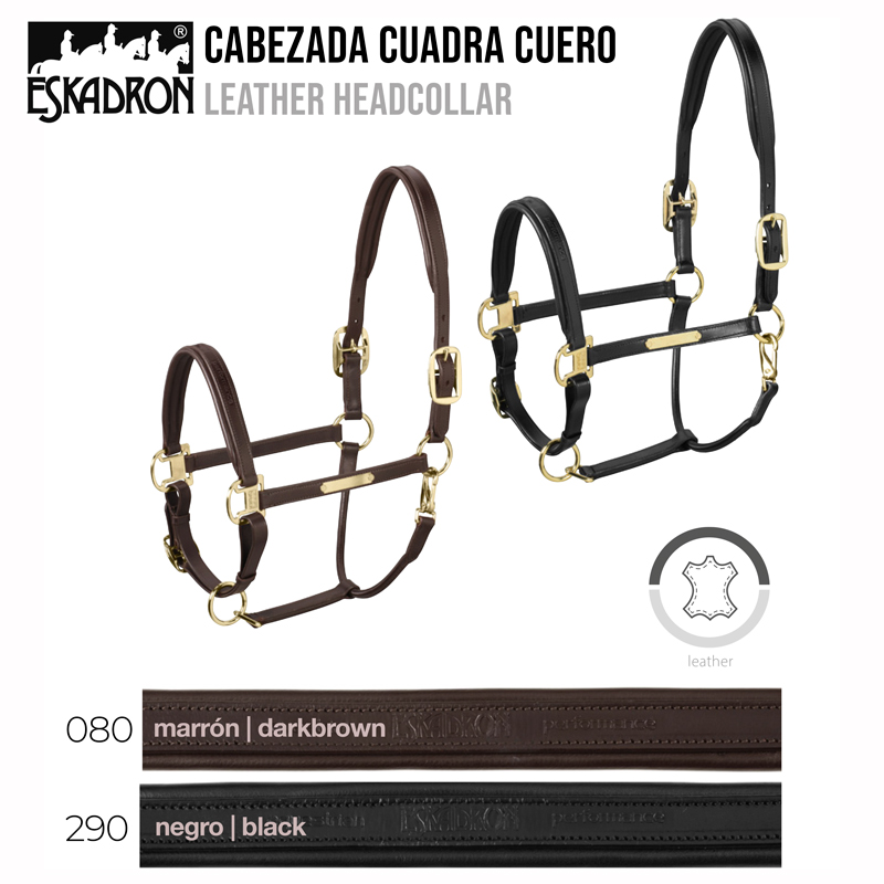 Duas cabeçadas de couro para cavalo em castanho escuro e preto com fivelas douradas