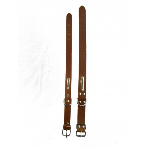 Duas coleiras castanhas de couro com fivelas metálicas