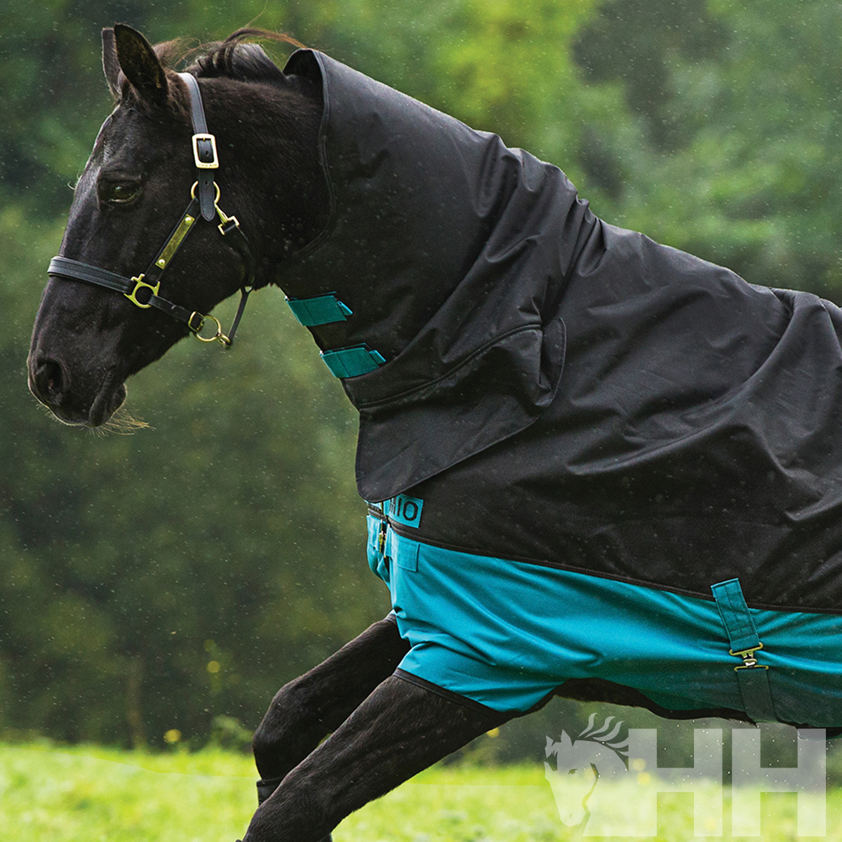 Cavalo preto com manta azul e preta a correr numa área verde