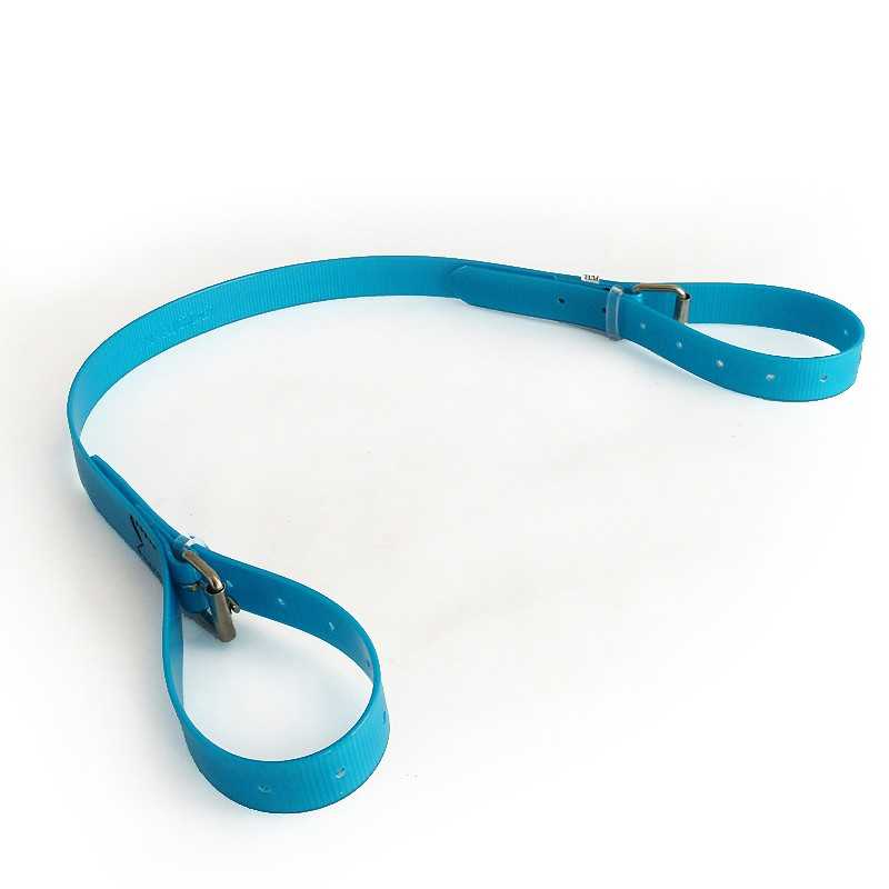 Correia azul para cão com fivela metálica