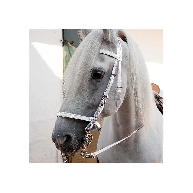 Cabeça de cavalo cinza claro com arreio branco