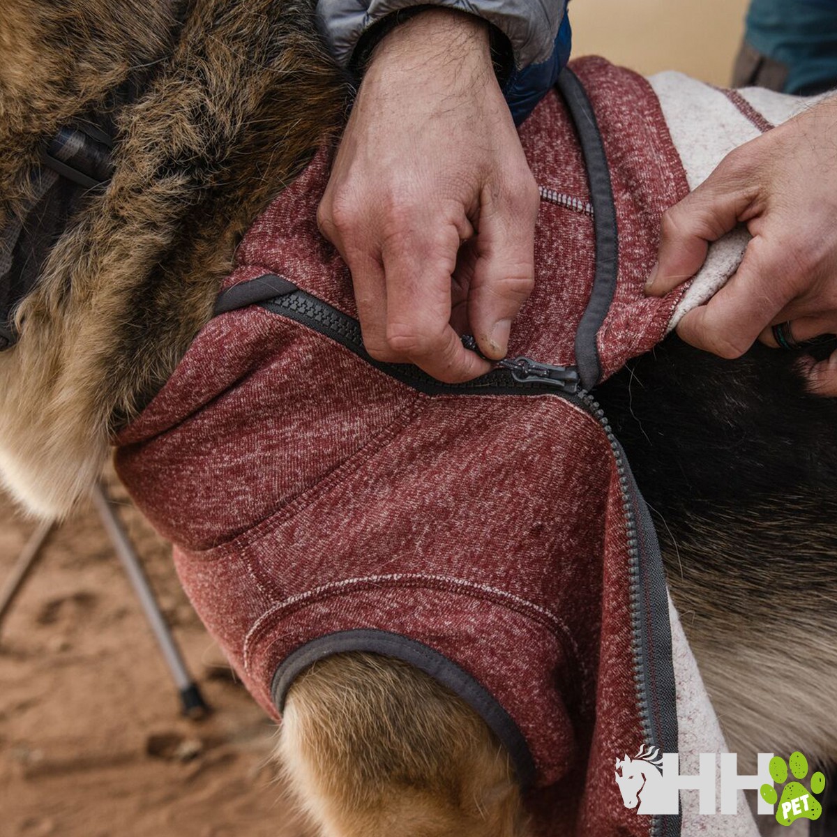 Cão com casaco vermelho a ser ajustado por mãos humanas
