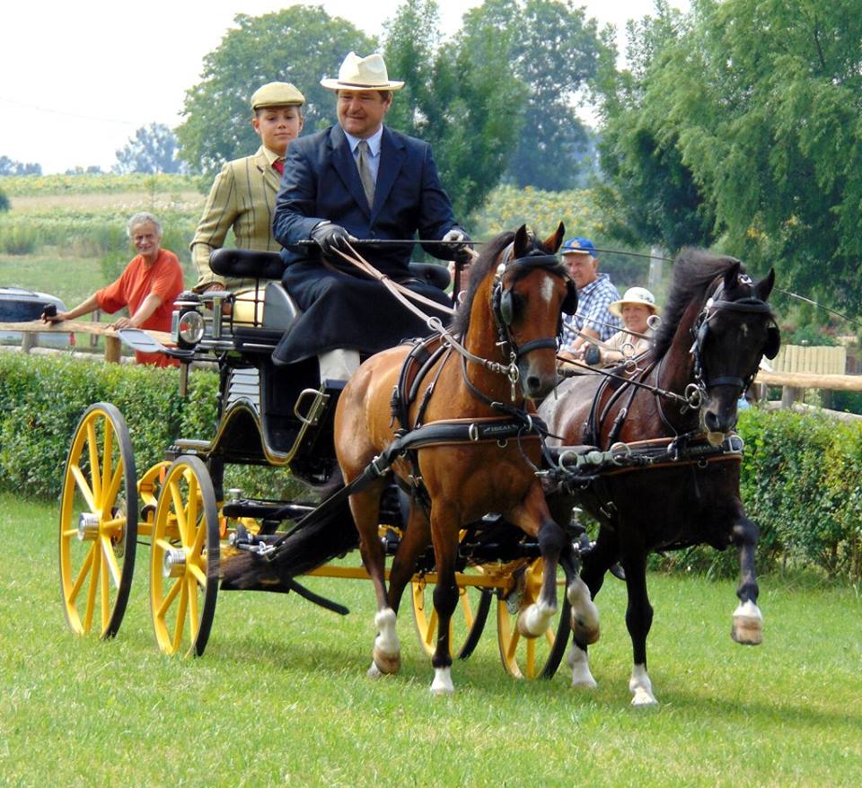 Carruagem clássica preta com dois cavalos e rodas amarelas em campo verde