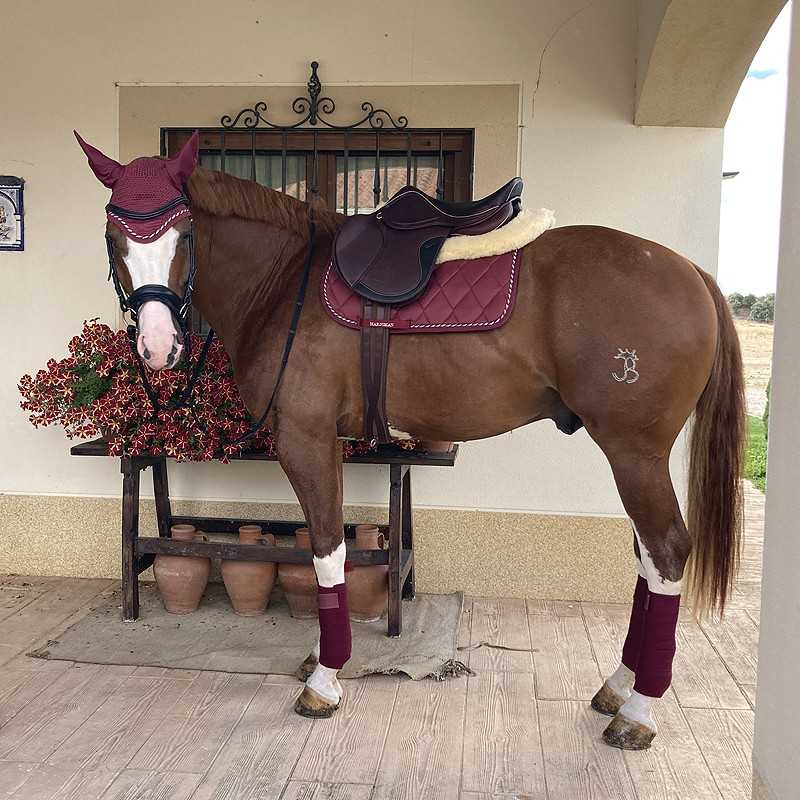 Conjunto de Suadouro + Ligaduras + Orelheiras